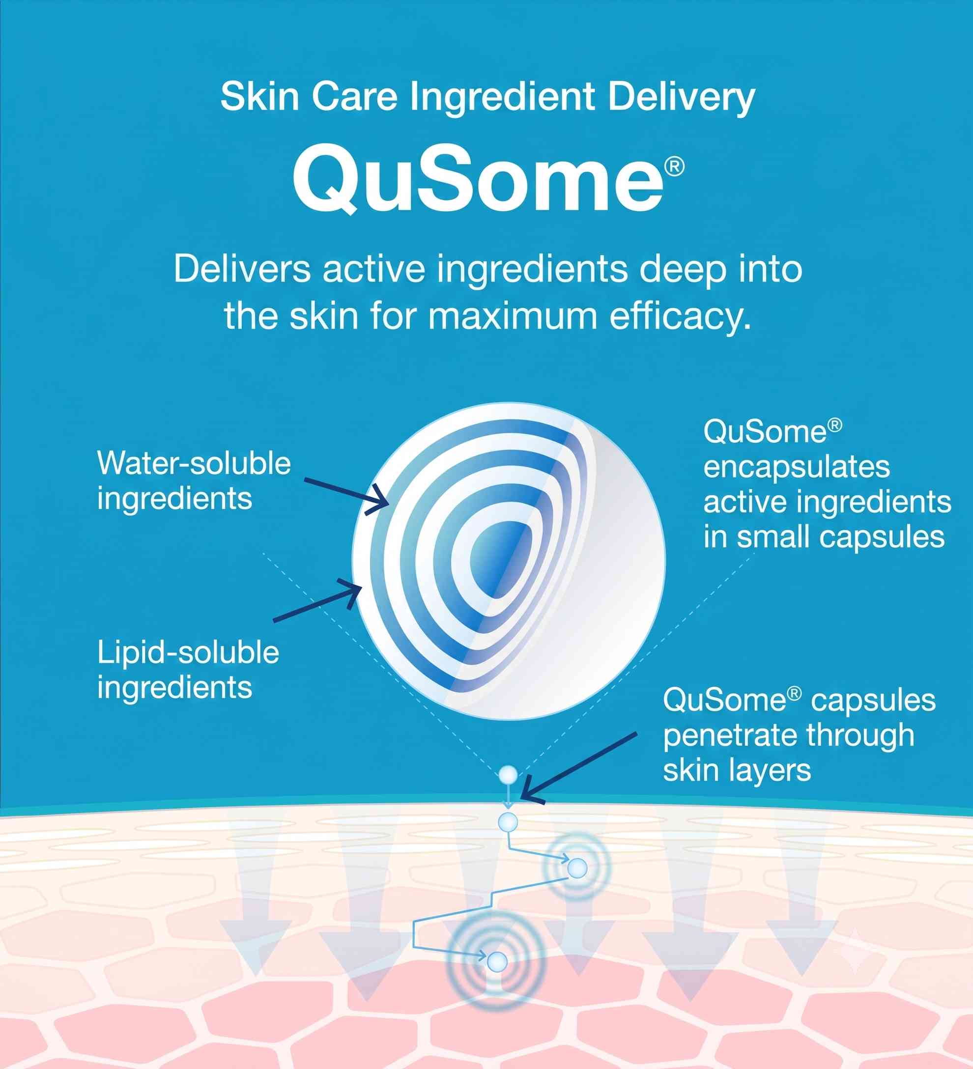 QuSome nano-capsule structure: layered water and oil shells wrapping an active ingredient