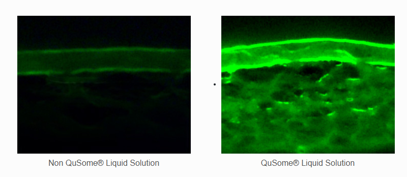 Lab fluorescence imaging comparing a conventional liquid solution with a QuSome liquid solution, showing deeper penetration with QuSome